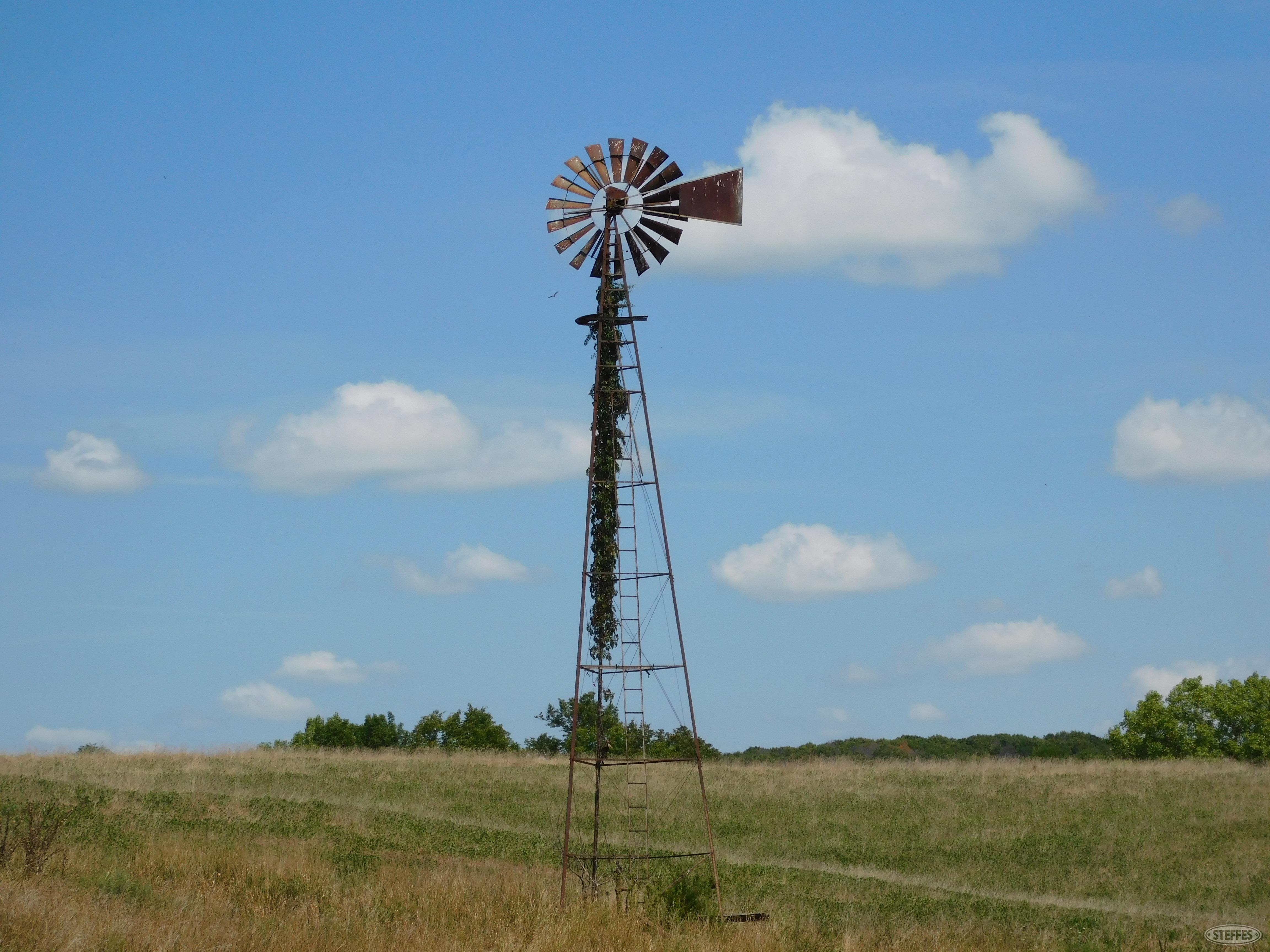 Windmill (TO BE REMOVED BY BUYER)